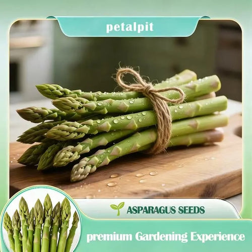 🌿Four Seasons Asparagus Mary Washington Seeds – Perennial, Tender, Nutrient-9YOE9