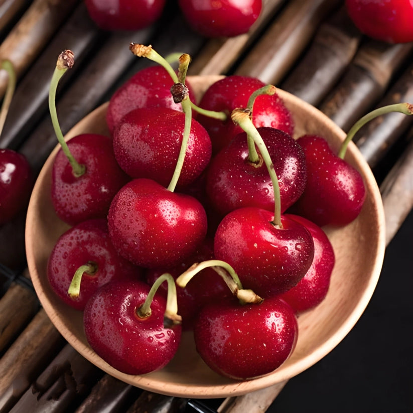 🍒Black Cherry Plant Kit – American & Chilean Varieties for Home Garden 8HZAN8