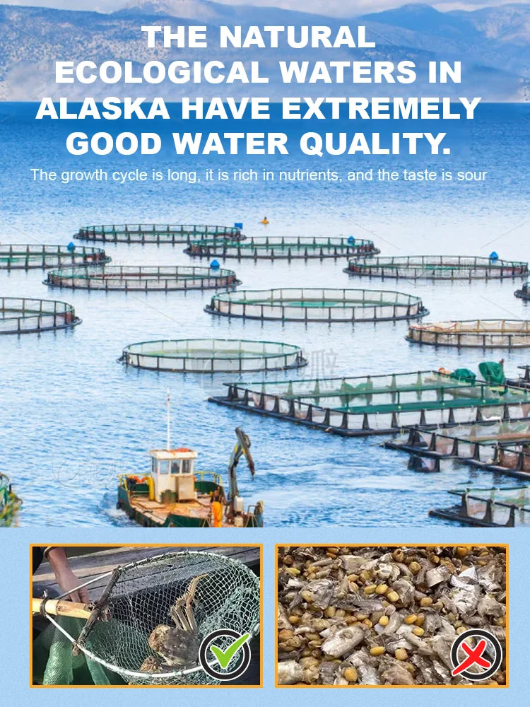 Buy 1 Get 1 Free Alaskan Snow Crab Ready-to-EatCrispy Crab 8HZAN8